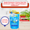 Kracie - Moisturizing Algae Of The Sea Rinse in Shampoo + Conditioner(Refill Pack)